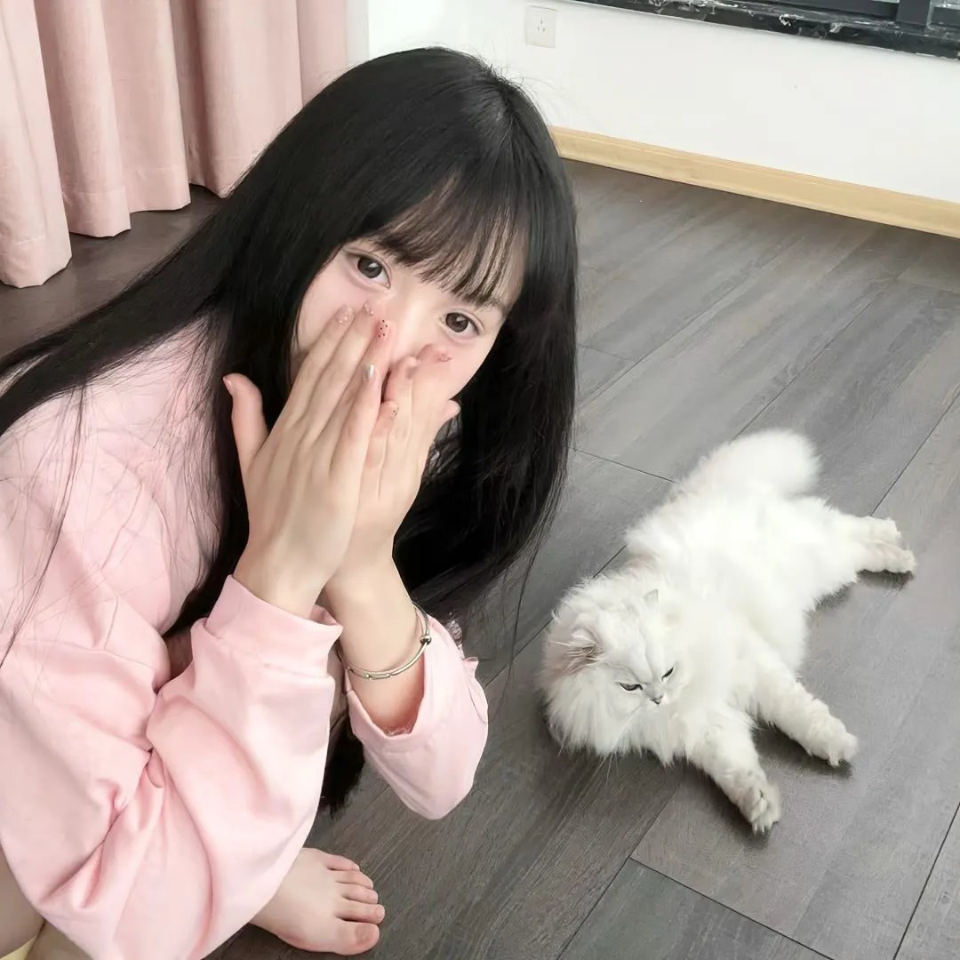 灰姑娘 海报